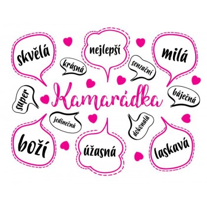 Dokonalá kamarádka